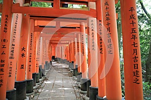Senbon Torii Ã¢â¬ÅThousand ToriiÃ¢â¬Â gateways in Fushimi Inari Taisha Temple in Kyoto Japan